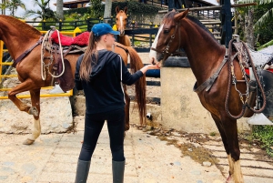 Von Medellin: 100 Jahre alte Finca, Reiten und mehr