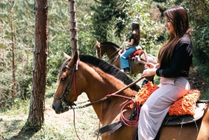 Von Medellin: 100 Jahre alte Finca, Reiten und mehr