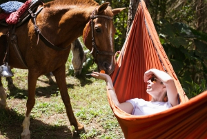 Von Medellin: 100 Jahre alte Finca, Reiten und mehr