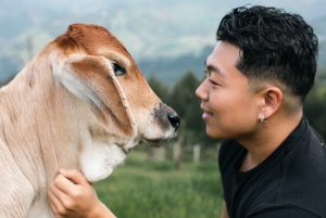 Von Medellin: 100 Jahre alte Finca, Reiten und mehr