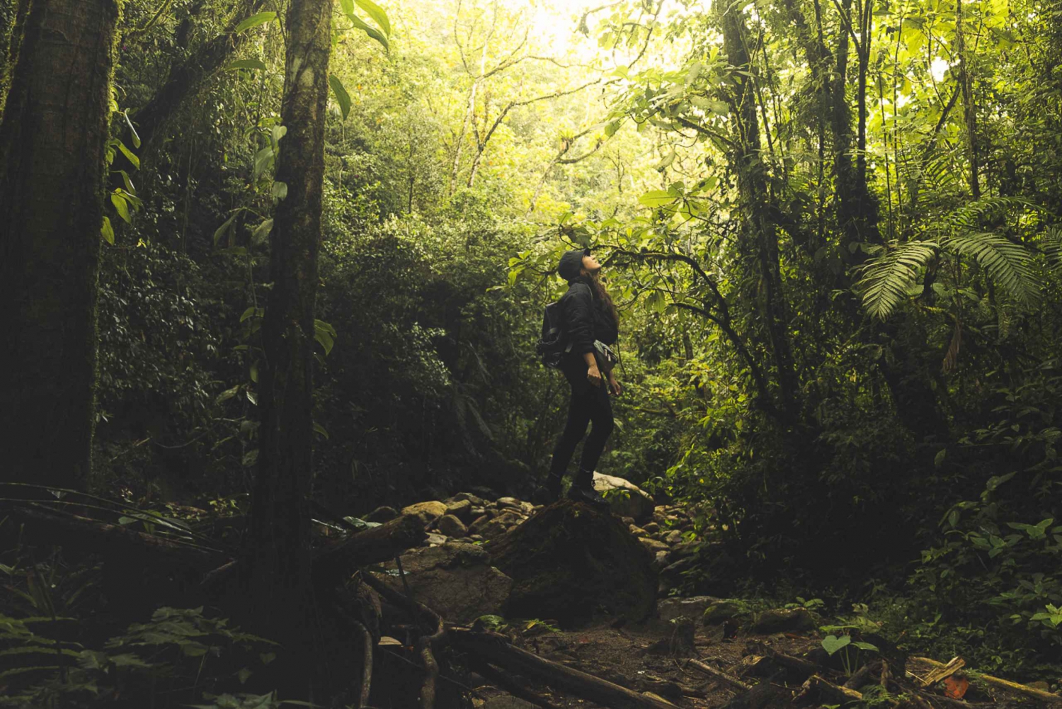Da Medellin: escursione guidata lungo un antico sentiero fino alla cascata