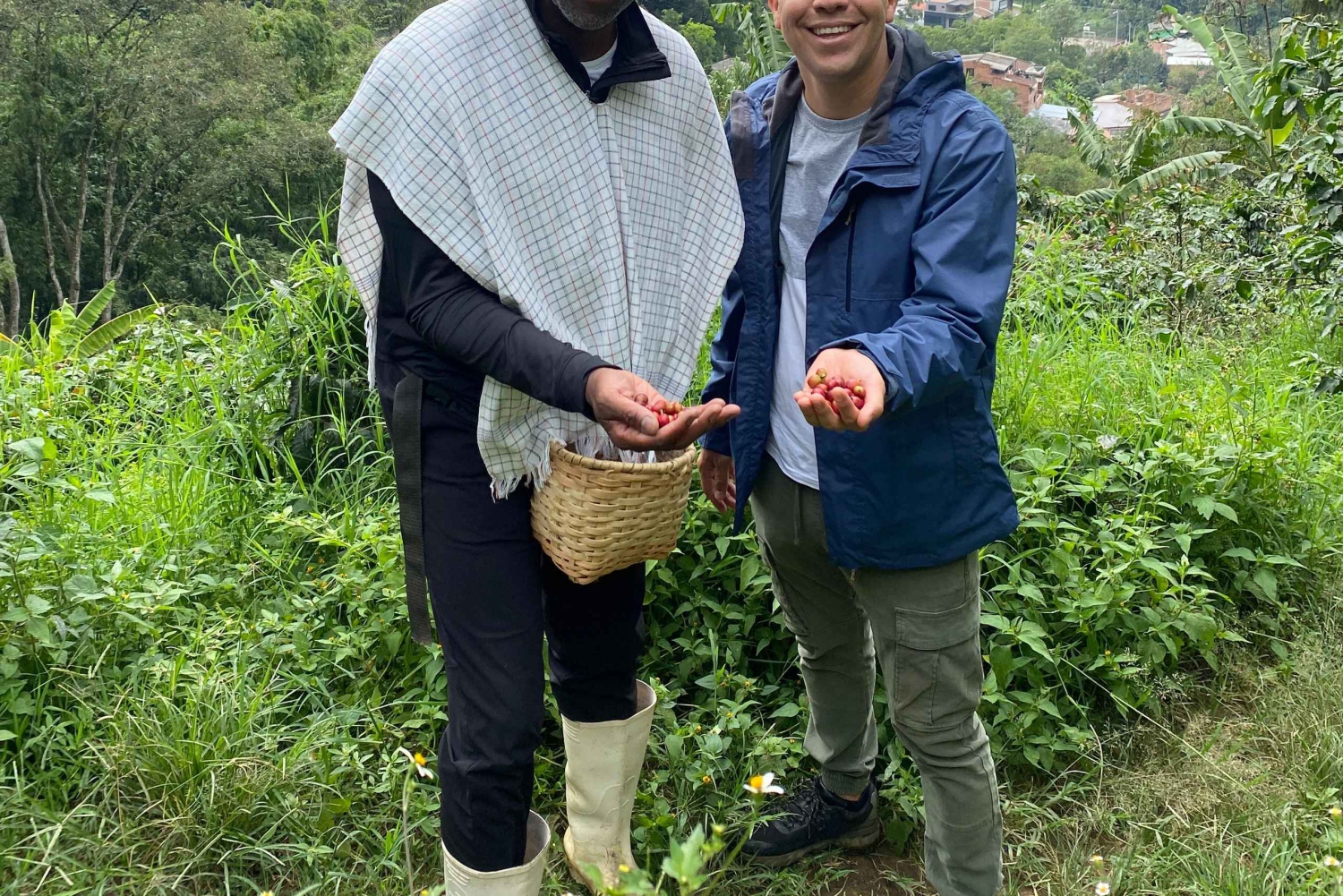 Vanuit Medellín: halfdaagse privétour koffie