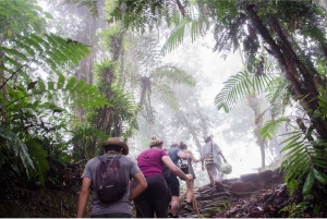 Ab Santa Marta: 4-Tages-Wanderung nach Ciudad Perdida