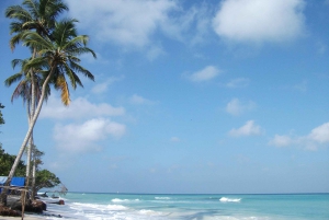 Journée complète à la plage exclusive de Baru avec déjeuner