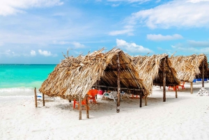 Całodniowa wycieczka na białą plażę Baru z lunchem