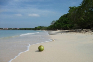 Całodniowa wycieczka na białą plażę Baru z lunchem