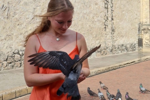 Gastronomisk omvisning og profesjonelle bilder i gamlebyen