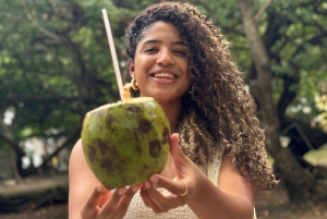 Gastronomisk omvisning og profesjonelle bilder i gamlebyen