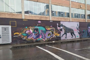 Graffiti ja identiteetti Bogotássa – opastettu kierros paikallisella välipalalla