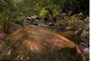 Arhuaco – rdzenna wioska w Mince: natura i mądrość