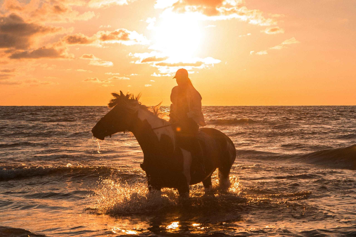 Ridning ved solnedgang: Tur på hesteryg langs havet