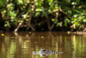 Leticia: Safari 2 días y 1 noche de Selva y Rio hospedaje en Casa Flotante