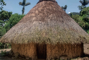 Santa Marta: Ciudad Perdida (4 dage og 3 nætter / 3 dage og 2 nætter)