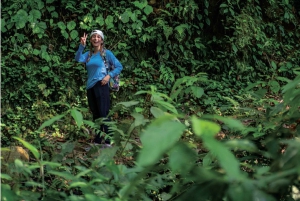 Santa Marta: Ciudad Perdida (4 dage og 3 nætter / 3 dage og 2 nætter)