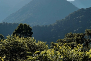 Santa Marta: Ciudad Perdida (4 dage og 3 nætter / 3 dage og 2 nætter)