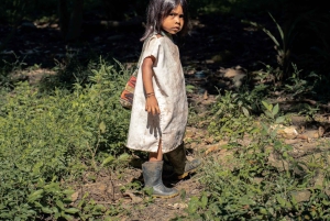 Santa Marta: Ciudad Perdida (4 dage og 3 nætter / 3 dage og 2 nætter)