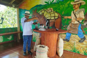 Medellín: Zwischen Bergen und Kaffee