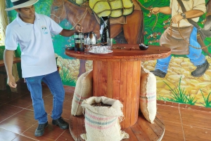 Medellín: Zwischen Bergen und Kaffee