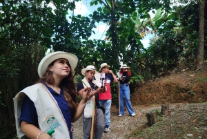 Medellín: Zwischen Bergen und Kaffee