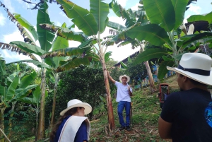 Medellín: Zwischen Bergen und Kaffee
