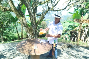 Medellín: Zwischen Bergen und Kaffee