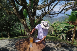 Medellín: Zwischen Bergen und Kaffee