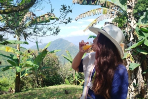 Medellín: Zwischen Bergen und Kaffee