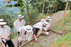 Medellín: Zwischen Bergen und Kaffee