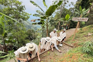 Medellín: Zwischen Bergen und Kaffee