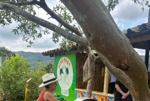 Medellín: Zwischen Bergen und Kaffee