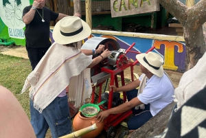 Medellín: Zwischen Bergen und Kaffee