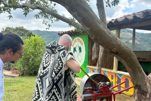 Medellín: Zwischen Bergen und Kaffee