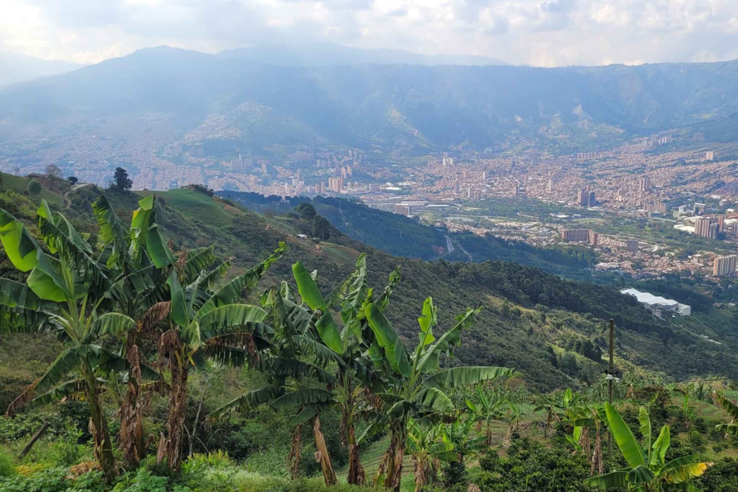 Medellin: Kaffefarmtur & Spa med overnatning i Glamping