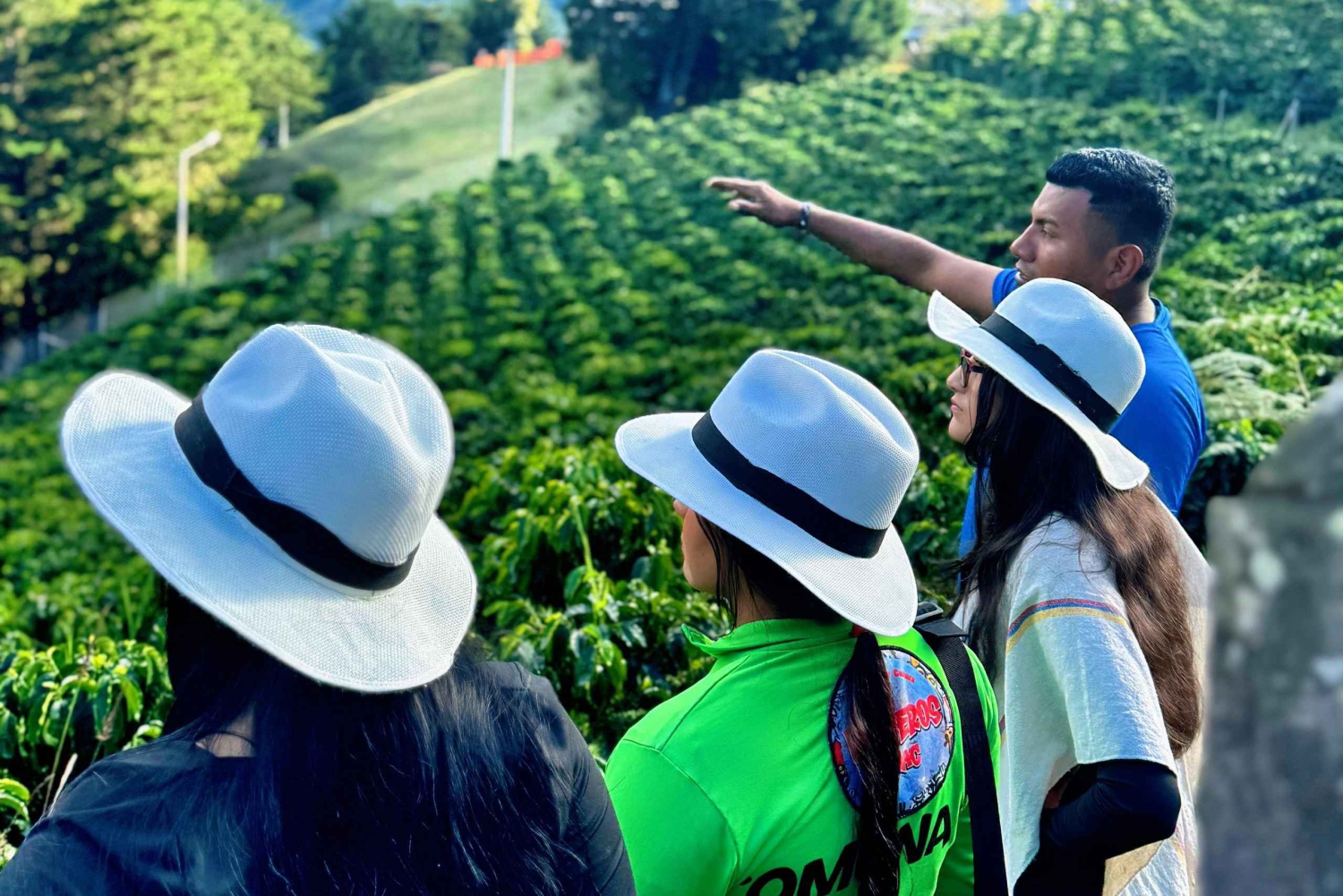 Medellín: tour di una piantagione di caffè - Assapora le storie della Sierra