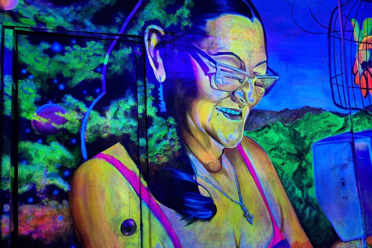 Medellín: rondleiding door Comuna 13 met lokale kunstenaars