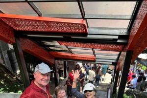 Medellín: Rundtur i Comuna 13, historie, lokal guide og svævebane