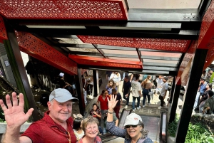 Medellín: Rundtur i Comuna 13, historie, lokal guide og svævebane