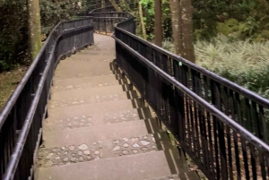 Medellín z wysokości: półprywatna nocna wycieczka panoramiczna