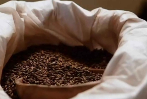 Medellin: Guatape och kaffeturen