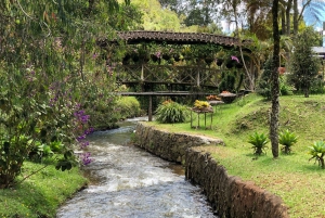 Medellín: Half-Day Private Colonial Towns Tour