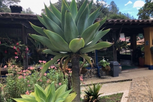 Medellín: Half-Day Private Colonial Towns Tour