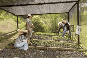 Medellín: La Casa Grande Kaffee-Hacienda – Kaffee-Erlebnis