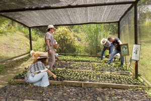 Medellín: La Casa Grande Kaffee-Hacienda – Kaffee-Erlebnis