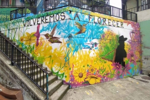 Medellín: Private Pablo Escobar and Comuna 13 Tour