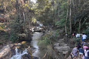 Medellín: River Tubing og BBQ-dagsudflugt med afhentning på hotel