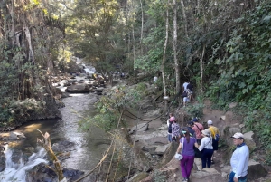 Medellín: River Tubing og BBQ-dagsudflugt med afhentning på hotel