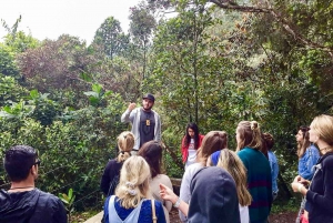 Medellín: The Real Pablo Escobar Tour