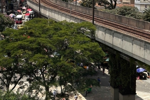 Visite urbaine de Medellín : collines, histoire, quartiers et résilience