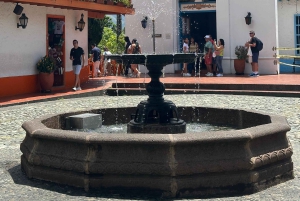 Visite urbaine de Medellín : collines, histoire, quartiers et résilience