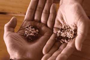 Minca: Ganztägige Minca-Tour mit Jungle Joe